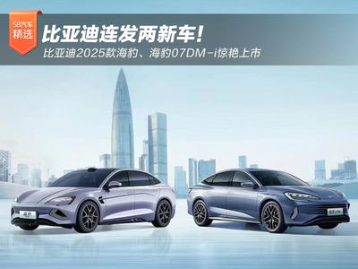 比亚迪2025年销量暴涨，见证中国汽车工业的奇迹