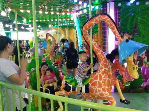 周末亲子相伴，畅玩飞鸟乐园的欢乐时光