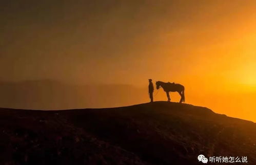 生命里的孤独：一场自我探寻的旅程