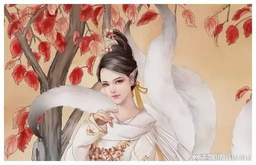 《狐仙报恩》：一段不可思议的奇妙缘分