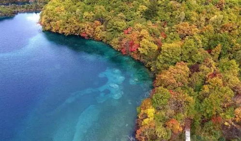 九寨沟震后修复：糯米灰浆的奇迹之旅