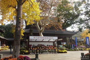 探访钱王祠：一场与历史的对话