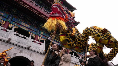 俄罗斯姑娘舞起中国龙：一场跨越文化的舞蹈奇迹