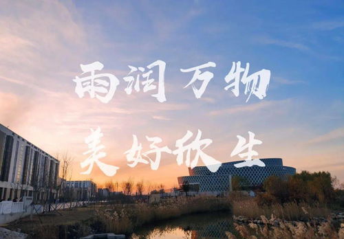 春之序曲：雨润人间，他与春天的故事