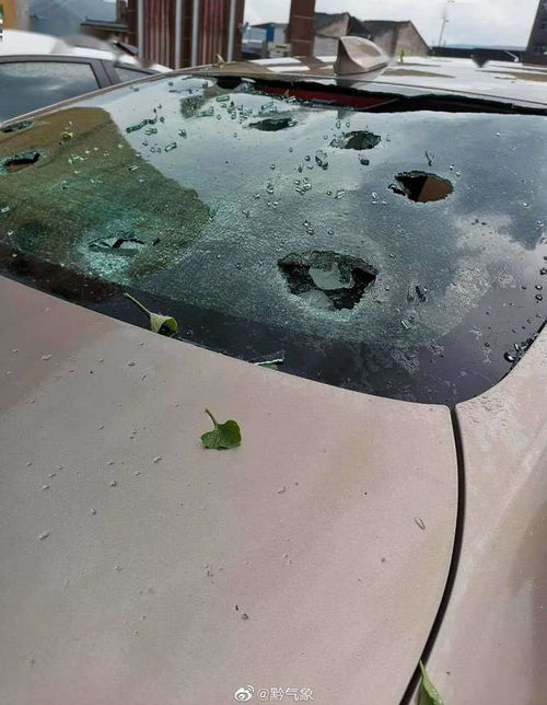 贵州14地突降冰雹！最大直径达40毫米，亲历者讲述震撼瞬间
