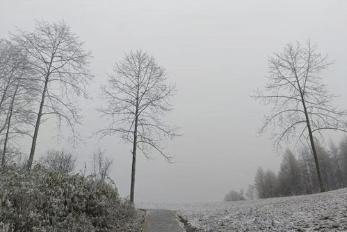 湖北多地下雪，第三视角亲历者带你感受冬日奇景