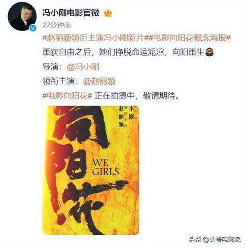 赵丽颖新片挑战刑满释放女子角色，演技再攀高峰