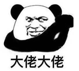 今天更刺激：一场意想不到的冒险