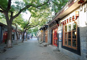 南锣鼓巷的第五个秘密：他的独特发现之旅