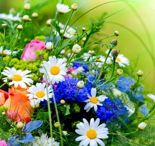 目击者视角：三勇士20秒神同步灭火，我见证了奇迹时刻