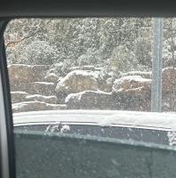 济南暴雪中的“推车侠”：一场温暖人心的集体行动