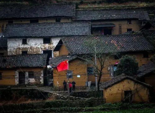 我最想去的地方——那片宁静的乡村