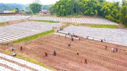 春耕时节的三问：从泥土到餐桌的故事