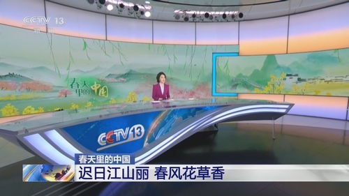 春日经济热潮下，我如何抓住流量红利实现逆袭