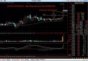 姬安宁：慢涨慢跌才是市场的未来