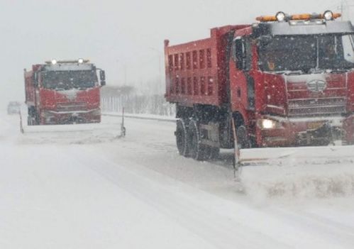 暴雪中的温暖：鲁A55X7E车主的感人善举