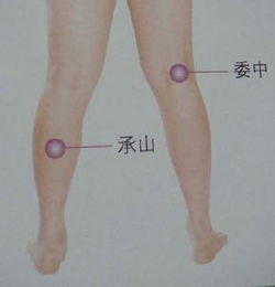 探寻承山穴的奥秘：一次与健康的亲密接触