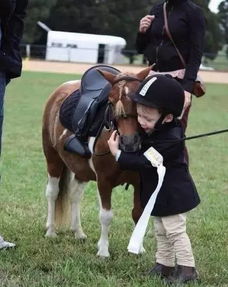 从童年热爱到星辰大海：我的马斯克式梦想之旅
