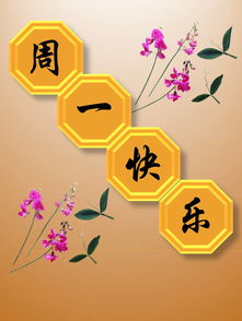 周一好呀！从慵懒周末到高效周一的完美切换