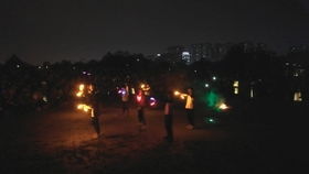 晚来的青鸟：那场关于梦想与成长的旅程