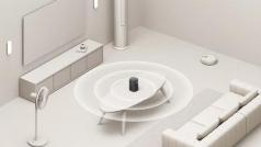 DeepSeek的挑战：小爱同学们的困境与希望