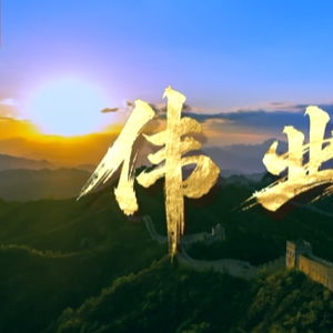 见证奇迹：我与伟业同行的非凡旅程