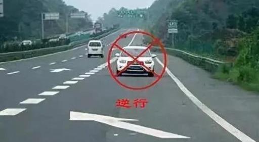 司机为何弃车高速逆向走两公里只为拿通行卡？背后真相令人深思