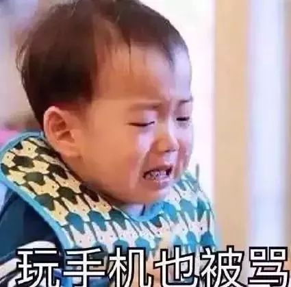 张凌赫的爆红之路：爸妈爷奶都知道了！