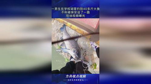 校园垂钓奇迹：大学生钓到50斤大鱼引全校围观