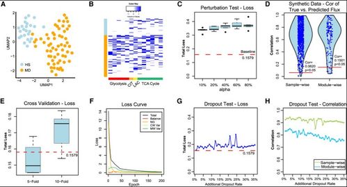 解锁10X空间转录组数据：功能信号网络的奥秘
