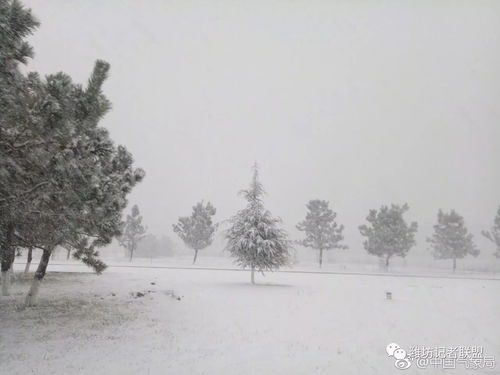 济南大暴雪下的浪漫奇观：387个大明湖的雪量究竟有多惊人