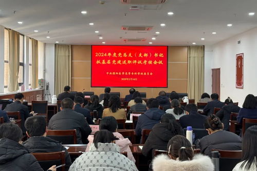 从基层到未来：我的2024年度党建述职心得