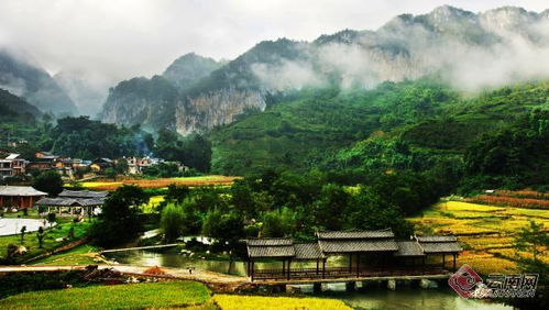 在乡村打造自己的世外桃源：从城市到田园的追梦之旅