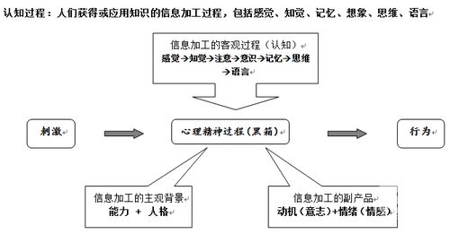 普通心理学：探索个体发展的研究方法