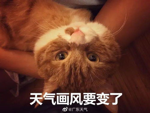 这波寒潮真的杀疯了！