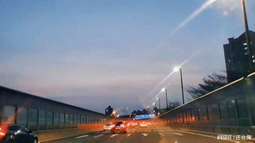 人生是旷野，而不是轨道：他的独特旅程