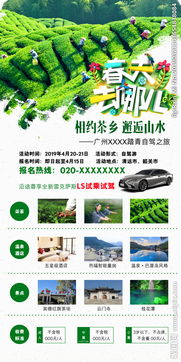 春日自驾图鉴：一场说走就走的浪漫之旅