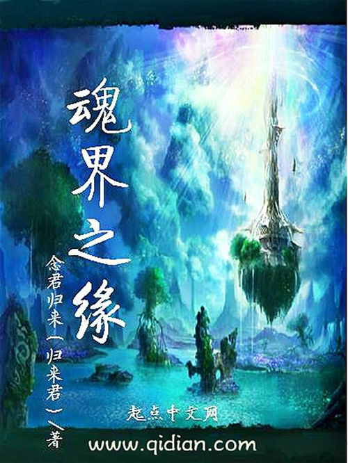 半魂缘1：一场关于命运与选择的奇幻旅程