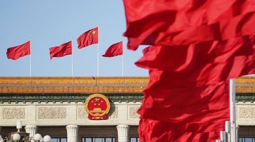 解锁春日特色消费场景，我的独特体验