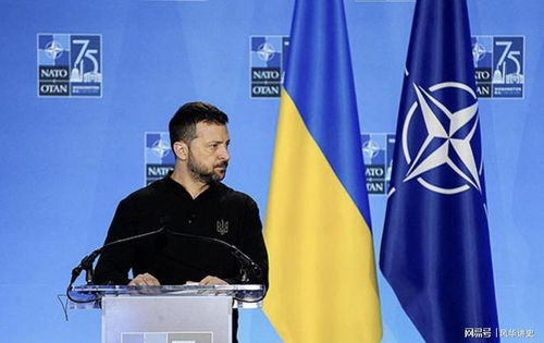 泽连斯基重返白宫会谈：和平之路还是政治博弈？