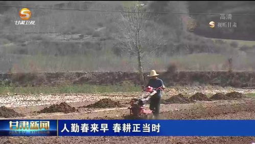 春耕时节，不负韶华：我的田野追梦记