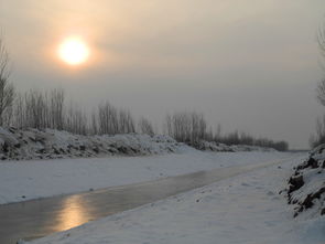 故乡的风景：一场心灵深处的归途