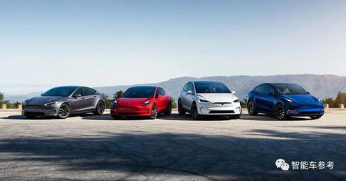 美多地爆发“特斯拉下架”抗议活动，背后真相竟是这样！