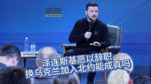深度解析：泽连斯基的北约梦与辞职承诺