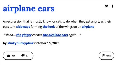 从小鸡词典败诉看法律正义：一个简书作者的深度思考