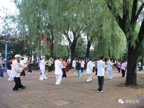 公园里的春日奇遇：一场与自然的邂逅