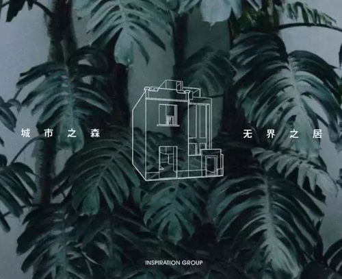 重拾生活的色彩：从低谷到重新鲜活