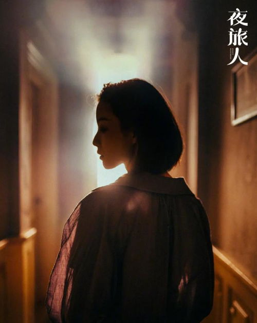 夜旅人：一场心灵的深夜漫游