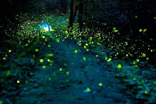 见证历史！蓝色幽灵号成功登月，商业航天新时代的开端