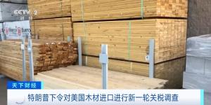 美国或对进口木材征收新关税：小李的观察与思考